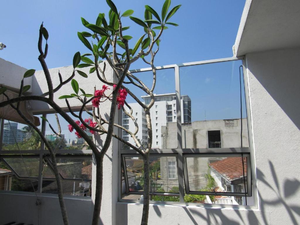The Transit 64 Bed & Breakfast โคลอมโบ ภายนอก รูปภาพ